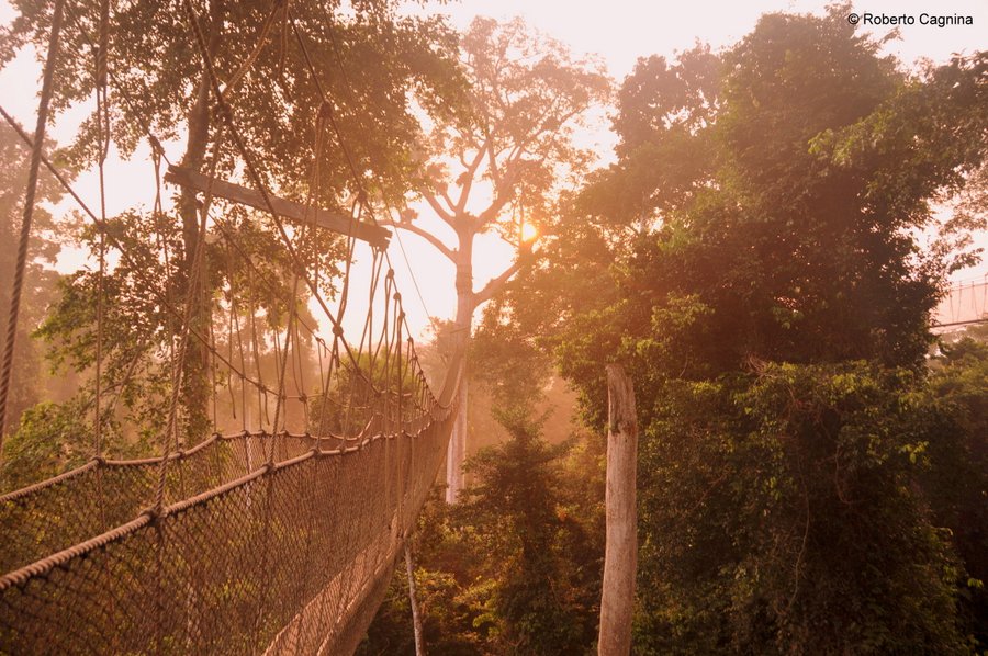 Cosa vedere in Ghana Togo e Benin dormire sull'albero alba foresta equatoriale canoping