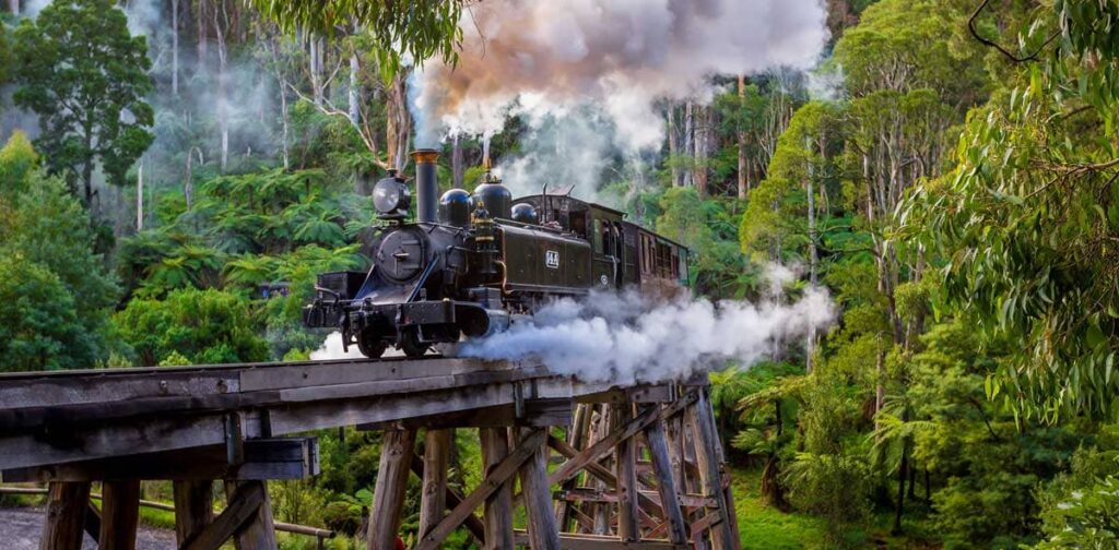 ferrovia di Puffing Billy