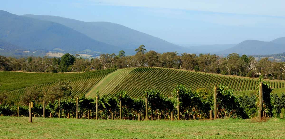 Cantine della Yarra Valley