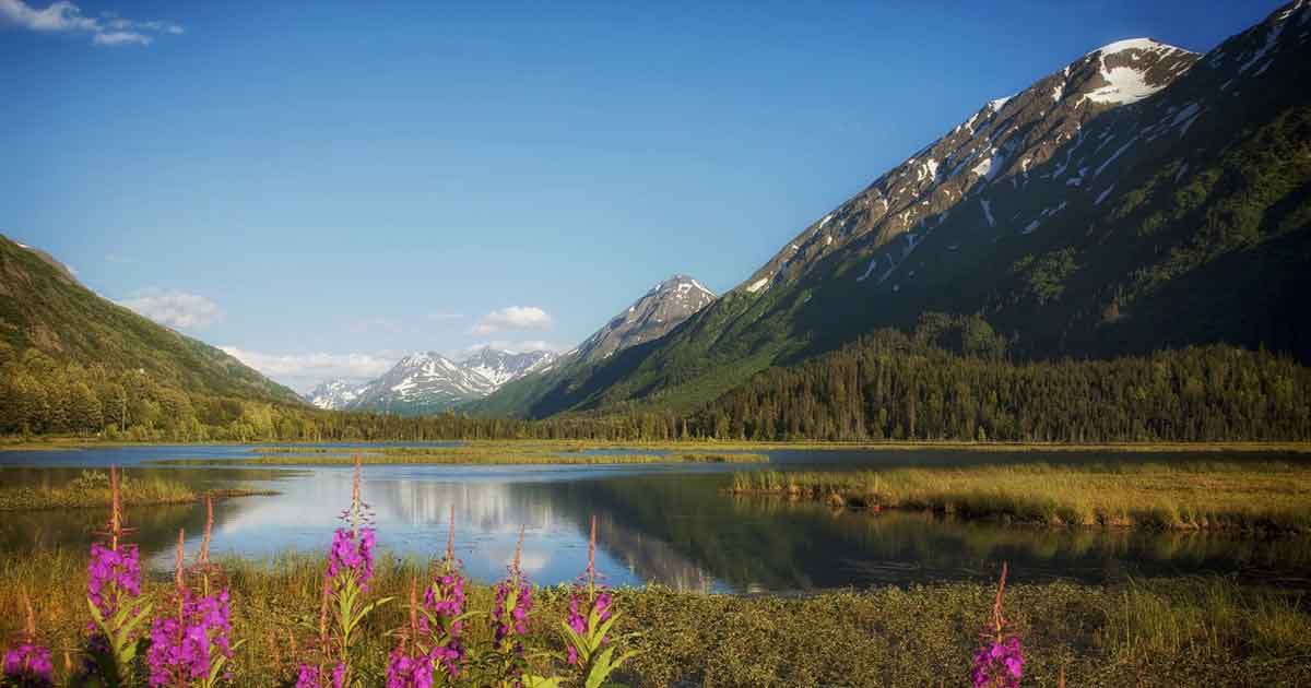 alaska-Parco-nazionale-Katmai
