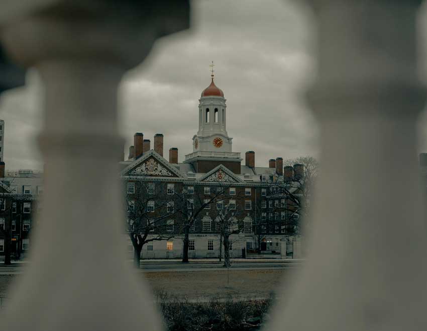 visita a Harvard e al museo di storia naturale